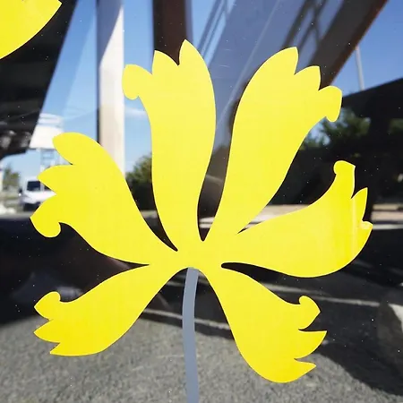 プレミア クラッセ ダンケルク エスト アルムブー カペル ホテル 2*